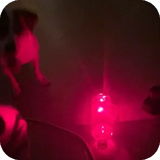 Sticker Фиона Викторовна - 7