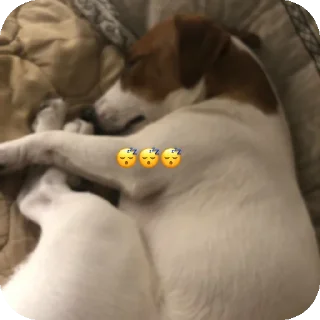 Sticker Фиона Викторовна - 10