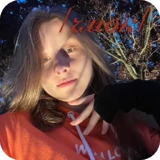 Sticker /Firefox вошла в чат/ - 2