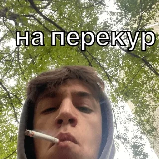 Sticker 1 группа леч - 1