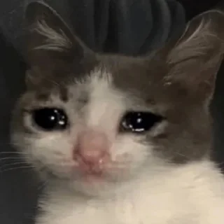 Sticker 1 группа леч - 6