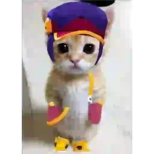 Sticker FirzDehFeng - 1