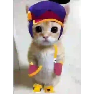 Sticker Фирз дэ фенг - 4