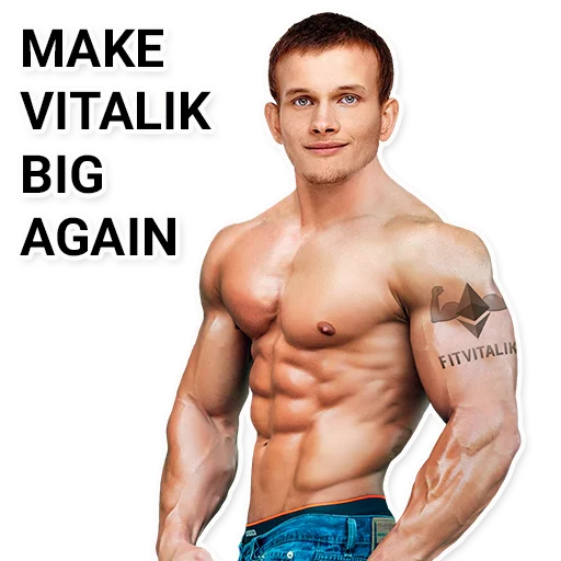 muscle chest barechested