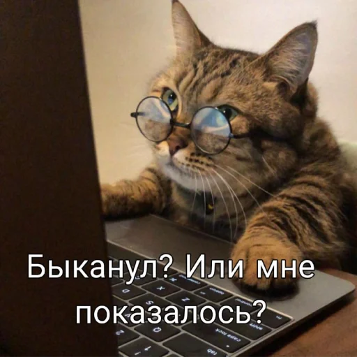 Sticker FivePlusStickers - 1