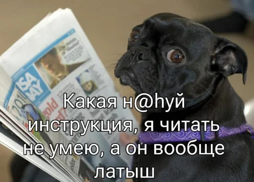 Sticker FivePlusStickers - 1