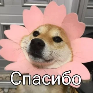 Sticker @FivePlusSchool - 6