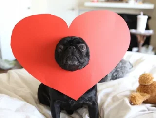 Sticker @FivePlusSchool - 1