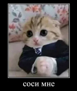 Стикер @StickersFuck1 - 11