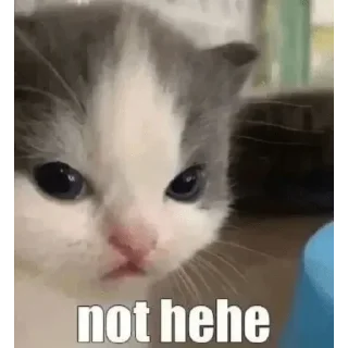 Стикер @StickersFuck1 - 10