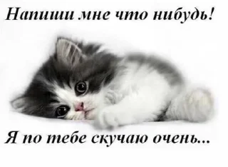 Sticker больше стиков @poshlstiker - 3