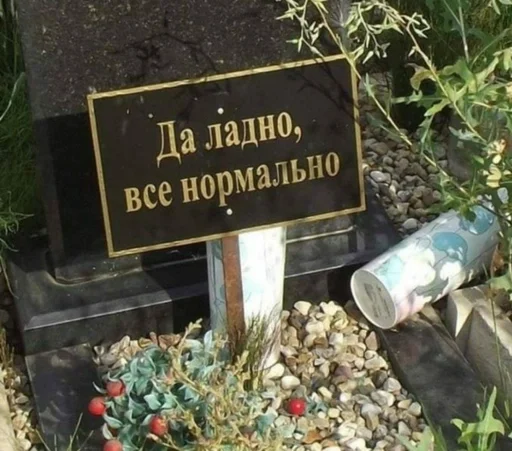 СМС растение на открытом воздухе