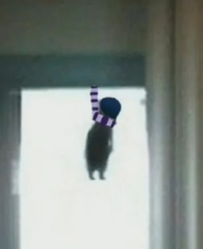 СМС стена комнатный