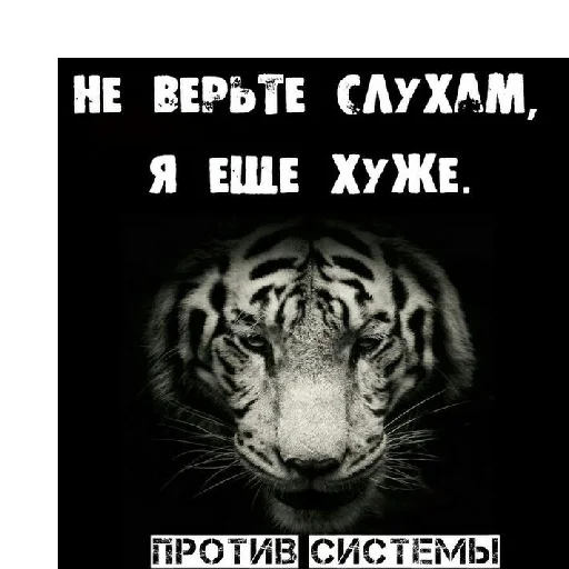 New podborka @Flay09 - СМС