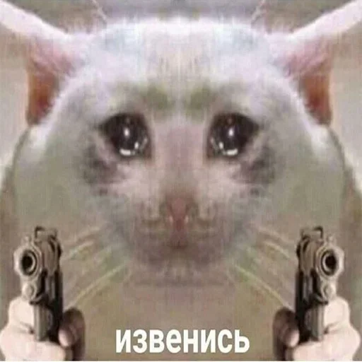 млекопитающее животное кошка