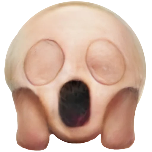 кость череп