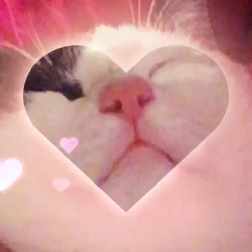 Sticker Un poco loco - 11