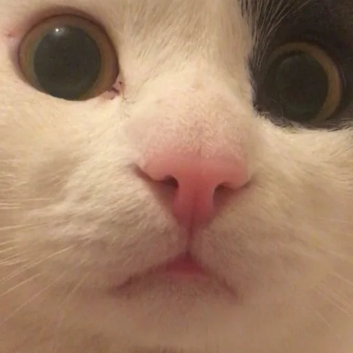 Sticker Un poco loco - 2