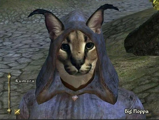 животное млекопитающее кошка