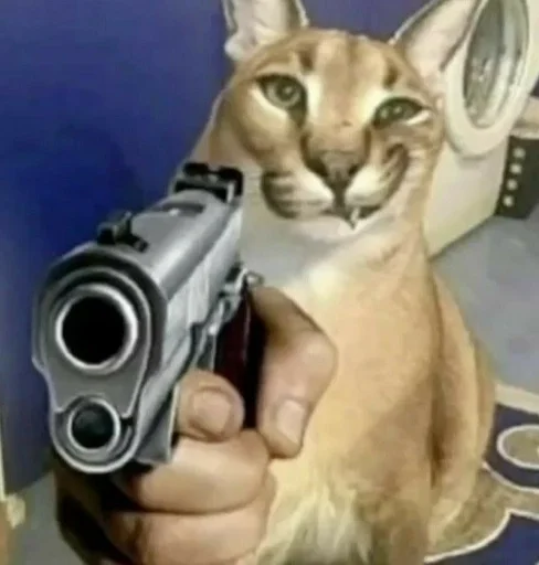 животное кошка млекопитающее