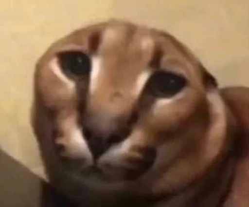 животное млекопитающее собака