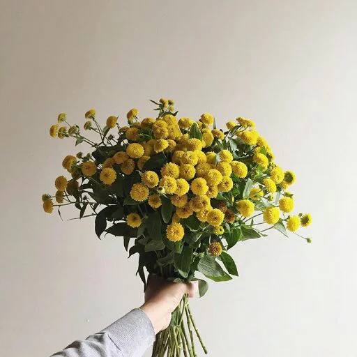 Sticker Fllowers | @Bluepione - 2