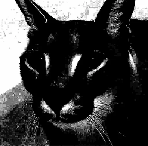 животное млекопитающее кошка