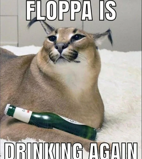 кошка животное Дикая кошка