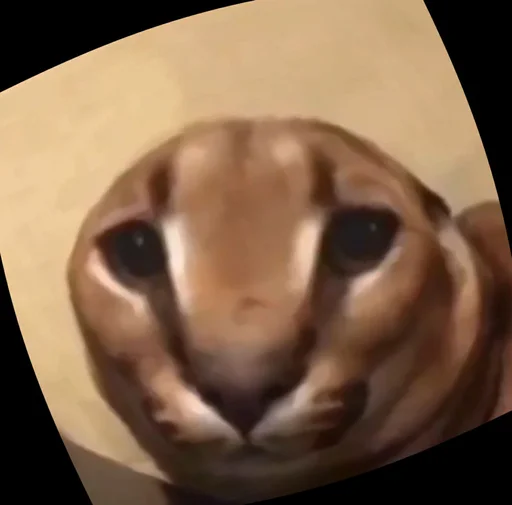 животное млекопитающее