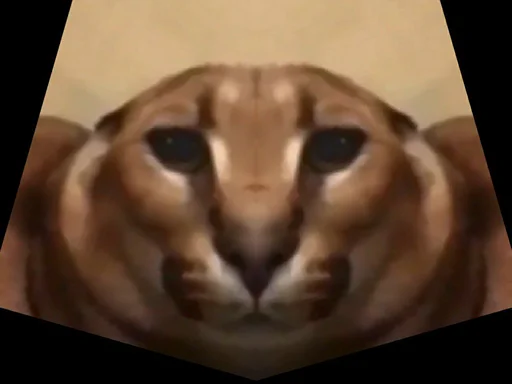 животное млекопитающее кошка