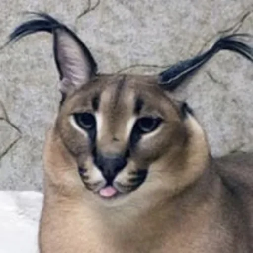 Sticker Floppa2_by_KOTIN - 1