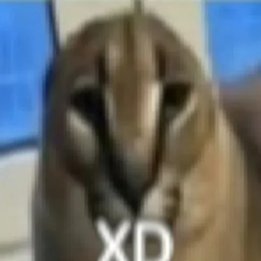 Sticker Floppa2_by_KOTIN - 1