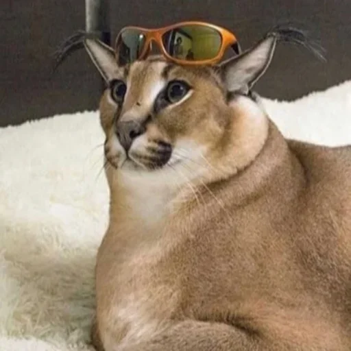 Sticker Floppa2_by_KOTIN - 1