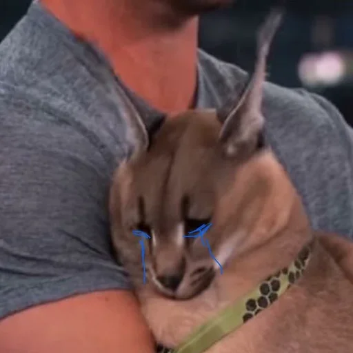 Sticker Floppa2_by_KOTIN - 1