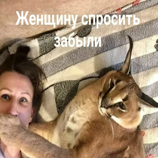 Sticker Floppa2_by_KOTIN - 1