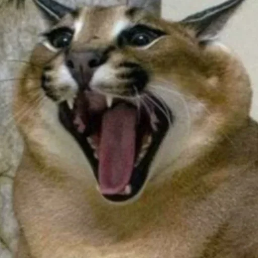 Sticker Floppa2_by_KOTIN - 1