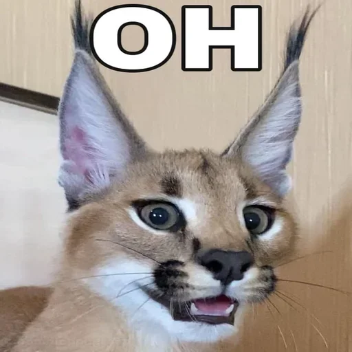 Sticker Floppa2_by_KOTIN - 1