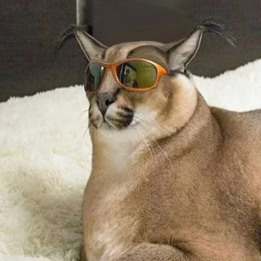 Sticker Floppa2_by_KOTIN - 1