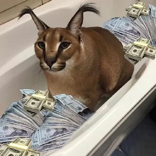 Sticker floppa2_by_KOTIN - 2