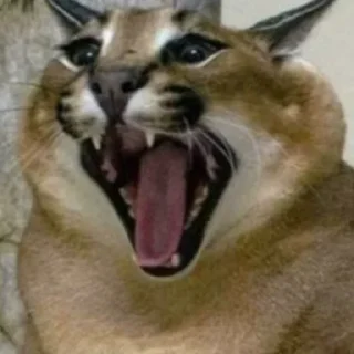 Sticker floppa2_by_KOTIN - 6