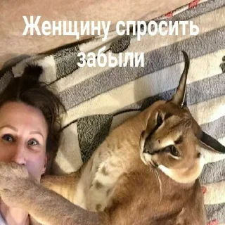 Sticker floppa2_by_KOTIN - 7