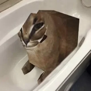 Sticker floppa2_by_KOTIN - 10