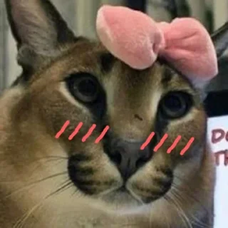 Sticker floppa2_by_KOTIN - 11