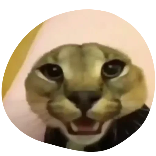 Sticker Floppa4_by_KOTIN - 1