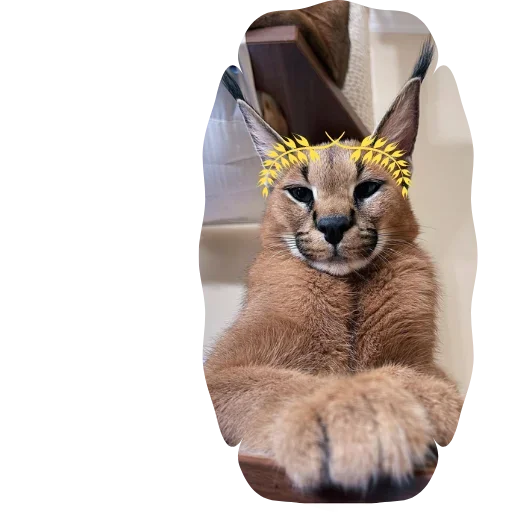 Sticker Floppa4_by_KOTIN - 1