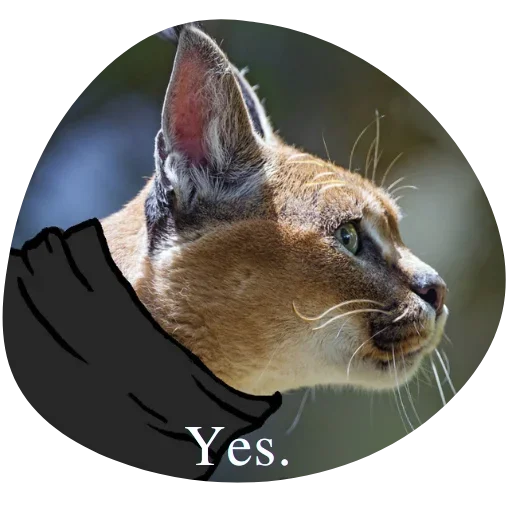 Стикер Floppa4_by_KOTIN - 1