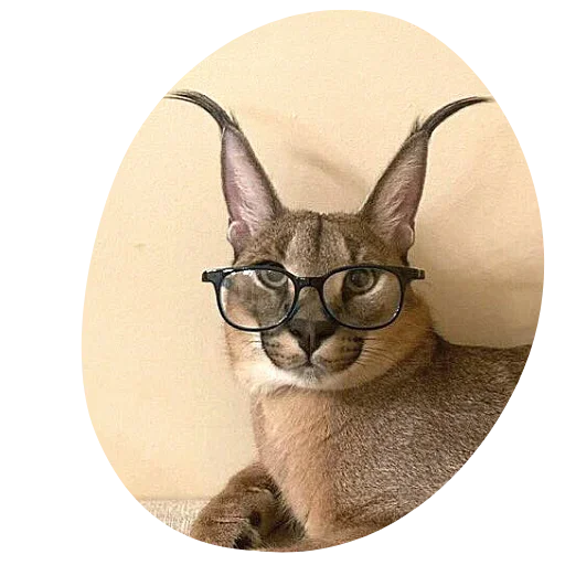 Sticker Floppa4_by_KOTIN - 1