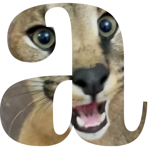 Sticker Floppa4_by_KOTIN - 1