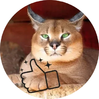 Sticker Floppa4_by_KOTIN - 0