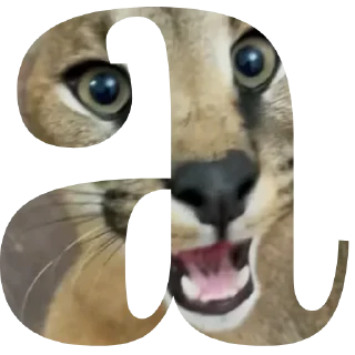 Sticker Floppa4_by_KOTIN - 3